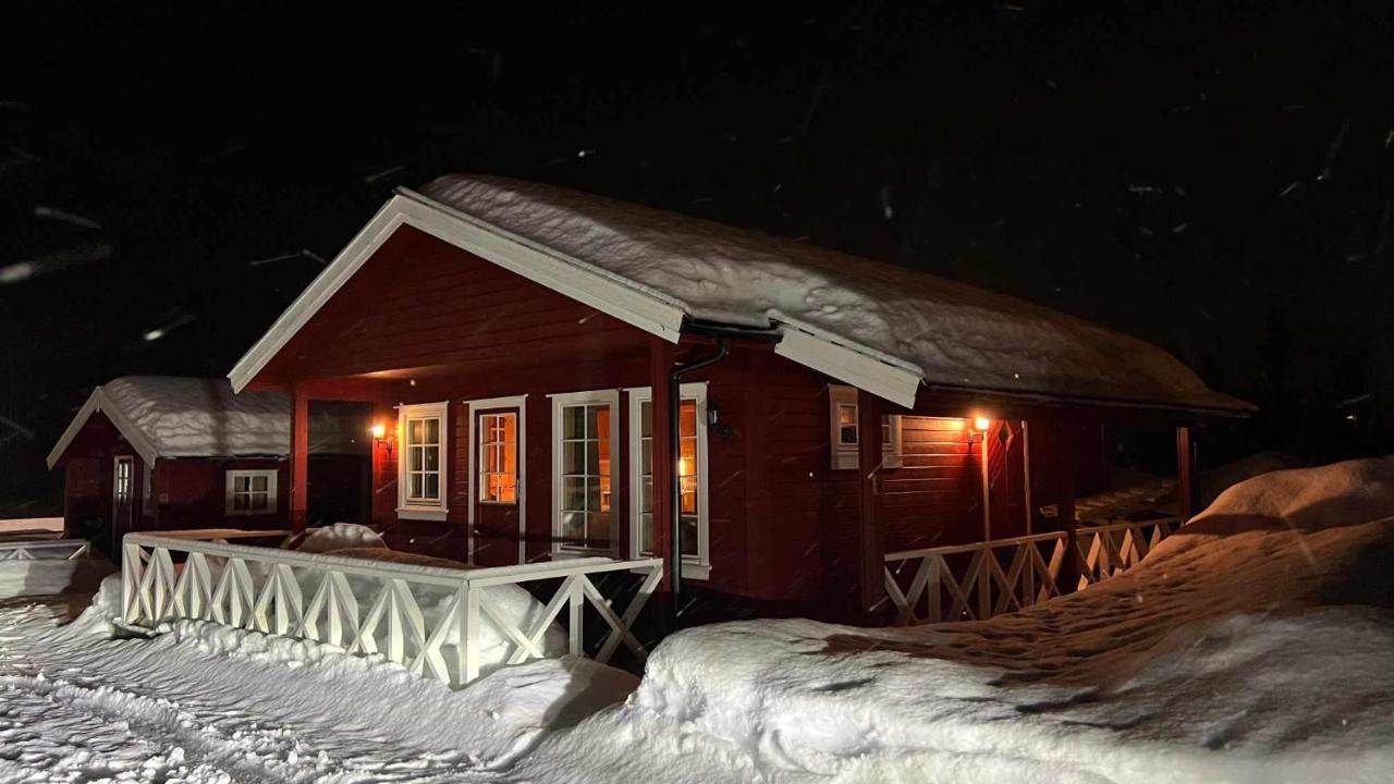 Saltvold Nr8
